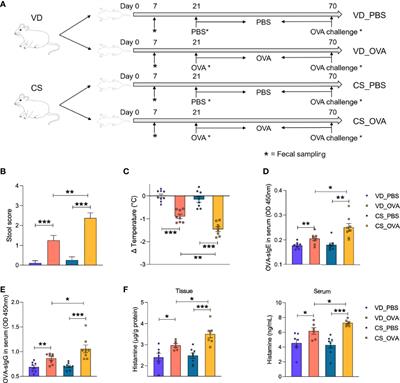 Probiotic Interventions Alleviate Food Allergy Symptoms Correlated With Cesarean Section: A Murine Model